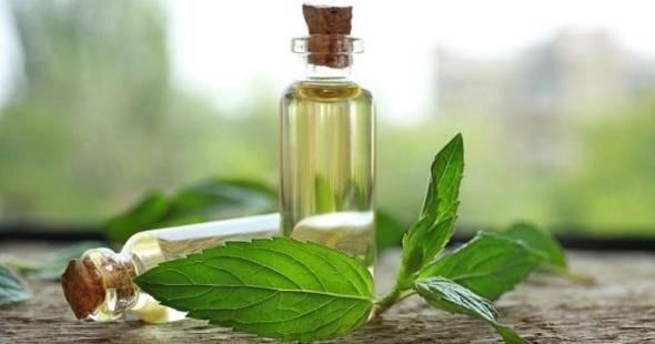بهترین تونر خانگی برای پوست خشک تونر خانگی نعناع برای پوست خشک