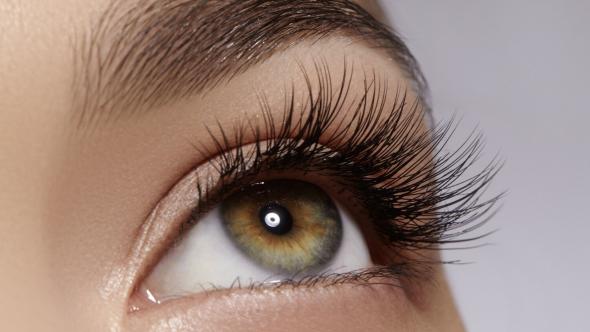 ضخیم کردن و بلندتر کردن مژه‌ها با ژل آلوئه‌ورا