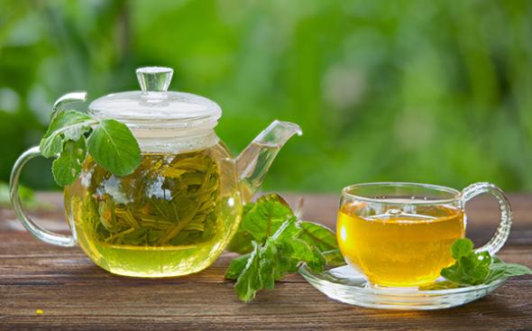 12 خواص مهم چای سبز که نمیدانید خواص مهم چای سبز