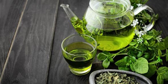 12 خواص مهم چای سبز که نمیدانید میزان مصرف چای سبز
