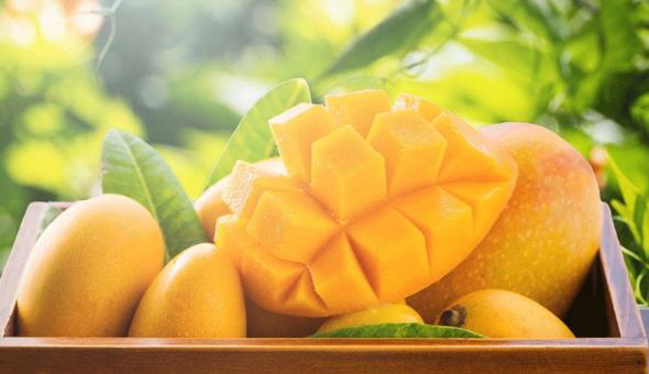 بهترین ماسک صورت