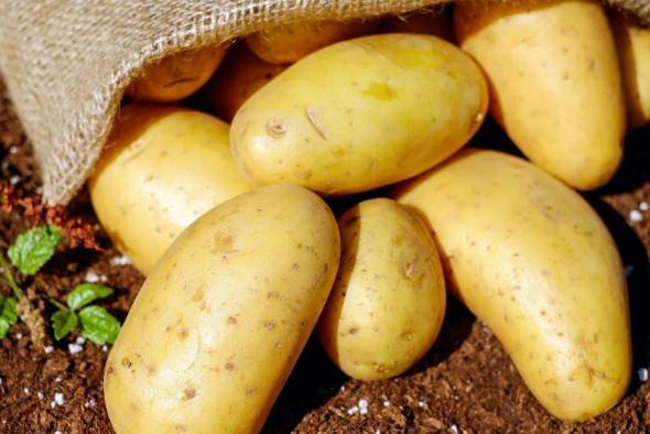 با این 15 خوراکی از چین و چروک پوست پیشگیری کنید ماده غذایی ضد پیری