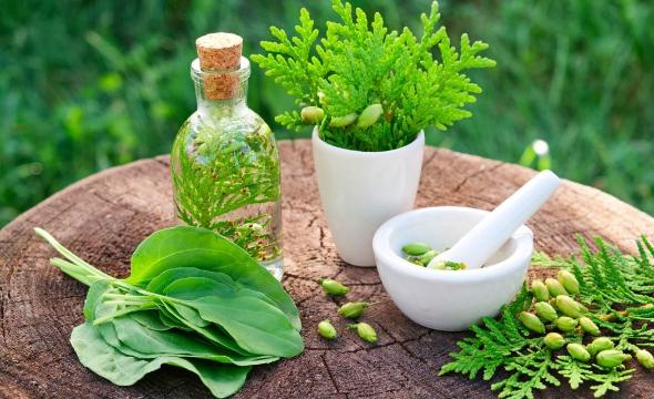 همه چیز درباره طب سنتی و فواید و مضرات این طب که نمیدانید طب سنتی ایرانی
