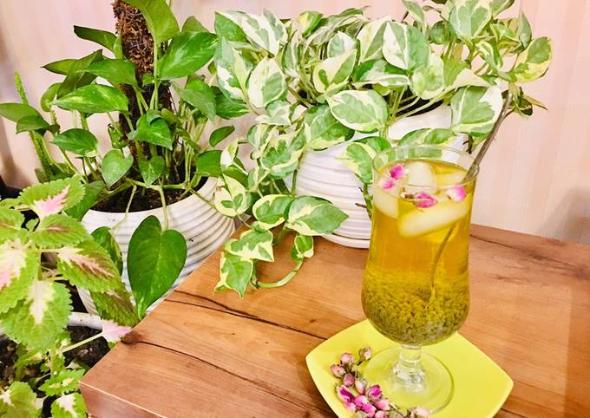 8 نوشیدنی مفید و سالم برای شربت تابستانی که رفع عطش میکند شربت تخم شربتی با گلاب