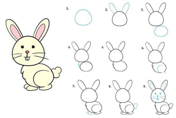 آموزش قدم به قدم نقاشی خرگوش