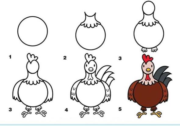 آموزش کشیدن مرغ برای کودکان