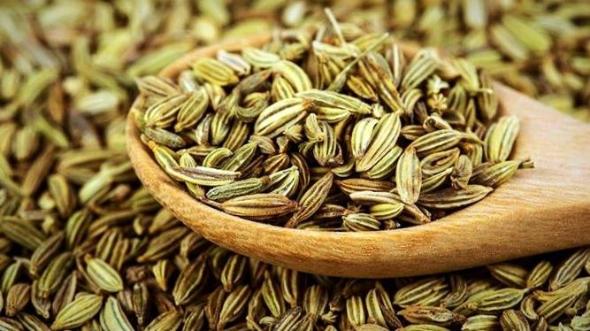 خواص زیره سبز خواص زیره سبز
