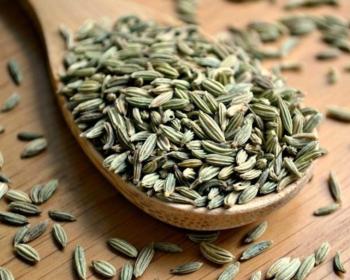 خواص رازیانه دانهای که برای بدن معجزه میکند + طرز استفاده خواص رازیانه